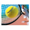 Великий теніс (58)